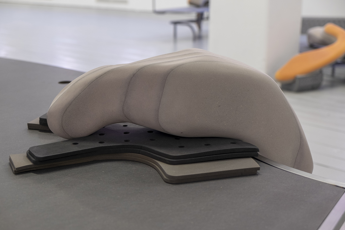 Carina Emery - Sensory Cells (Leg Anchored), 2021